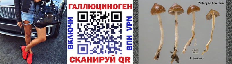 Галлюциногенные грибы мухоморы Артём